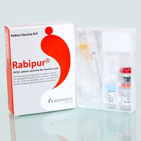 Rabipur rabies vaccination