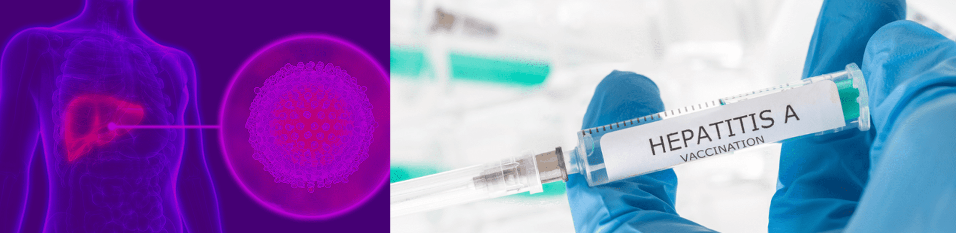 Hepatitis A Vaccine | £50 Cheapest | Travel Vaccine Clinic | TravelDoc™