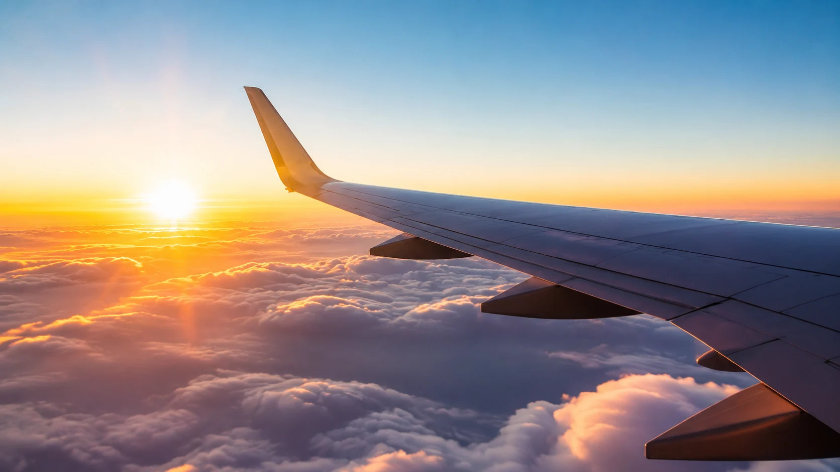 Fit to fly image